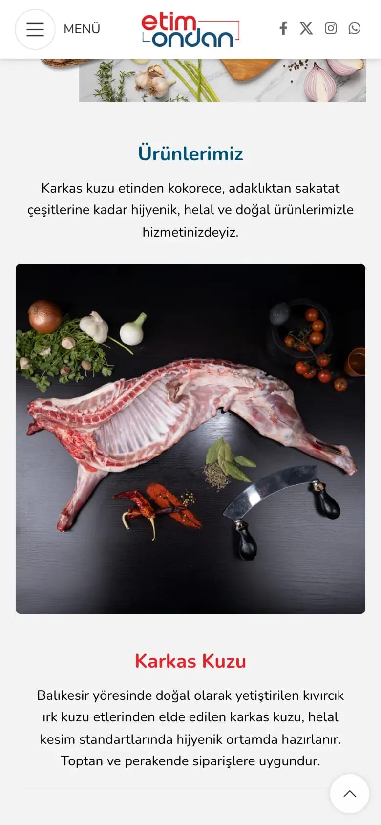 Etimondan web sitesi, telefonda ana sayfanın devamı